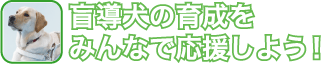 �ӓ����琬���